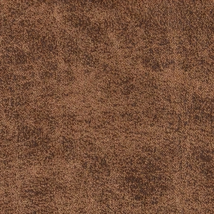 Dakota Camel