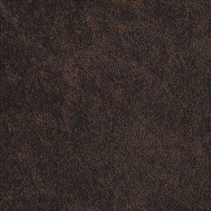 Dakota Chocolate