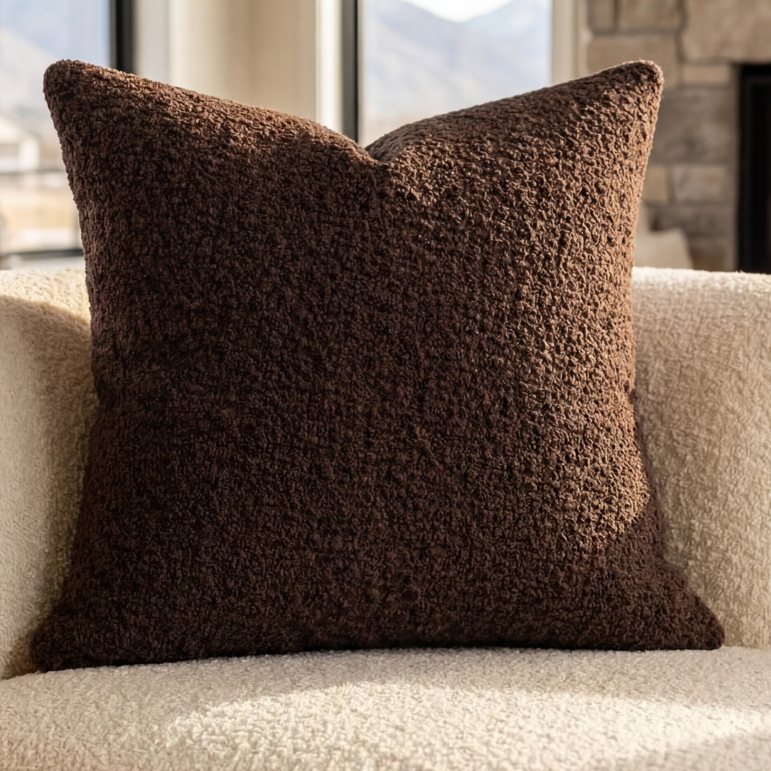 24" Cuddle Bouclé Throw Pillow Umber