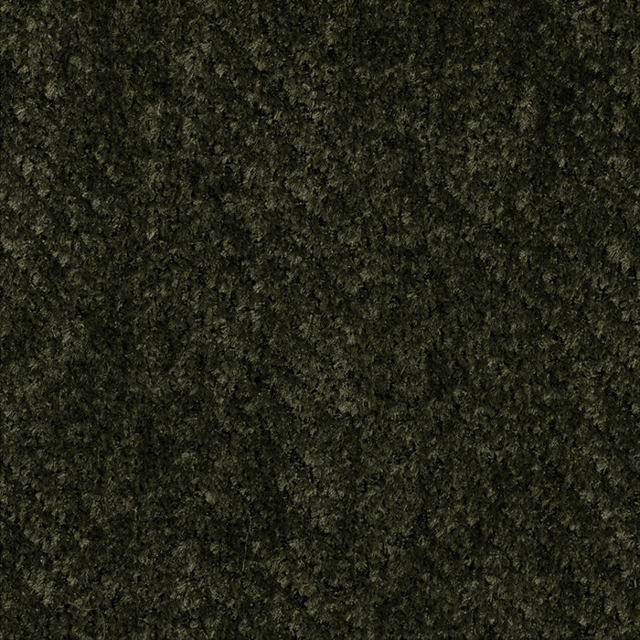 Everest Kelp